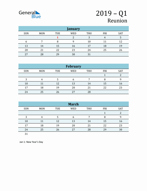 Three-Month Planner for Q1 2019 with Holidays - Reunion