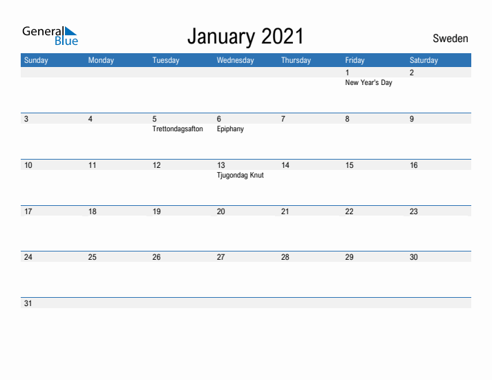 Fillable January 2021 Calendar