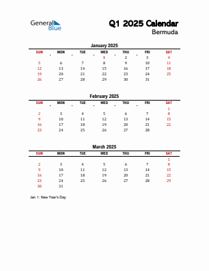 Bermuda Quarter 1  2025 calendar template