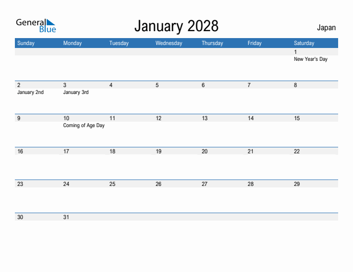 Fillable January 2028 Calendar