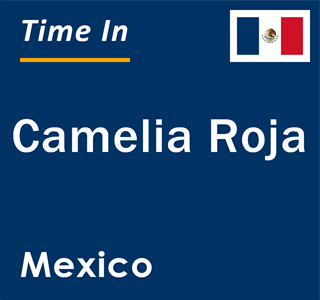 Current local time in Camelia Roja, Mexico