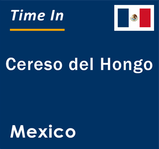 Current local time in Cereso del Hongo, Mexico