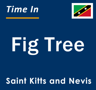 Current local time in Fig Tree, Saint Kitts and Nevis