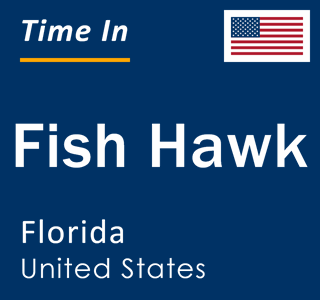 Current local time in Fish Hawk, Florida, United States