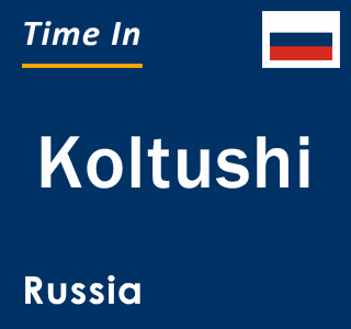 Current local time in Koltushi, Russia