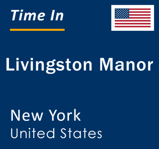 Current local time in Livingston Manor, New York, United States