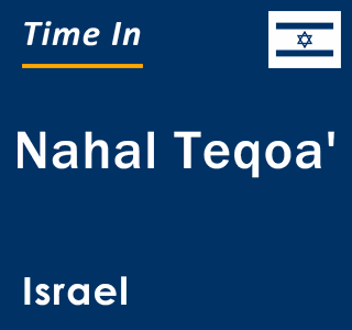 Current local time in Nahal Teqoa', Israel