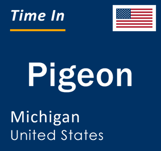 Current local time in Pigeon, Michigan, United States