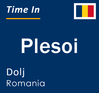 Current local time in Plesoi, Dolj, Romania