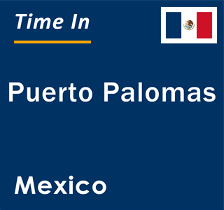 Current local time in Puerto Palomas, Mexico