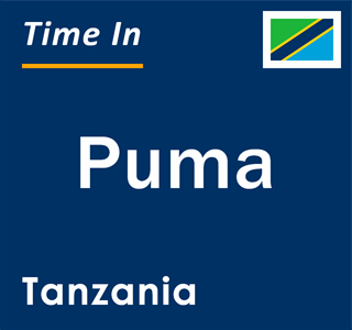 Current local time in Puma, Tanzania