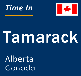 Current local time in Tamarack, Alberta, Canada