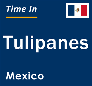 Current local time in Tulipanes, Mexico