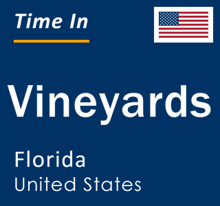 Current local time in Vineyards, Florida, United States