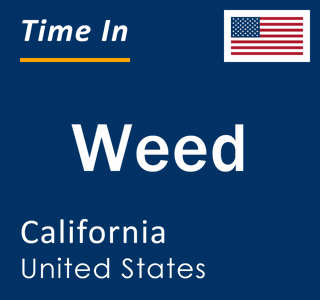 Current local time in Weed, California, United States